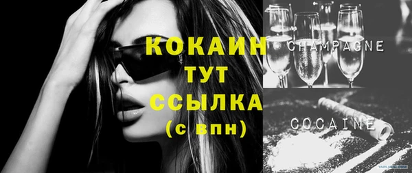 твердый Горнозаводск